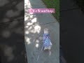 LuLu encounters a squirrel  #shorts #drama #dog #TriggeredGranny
