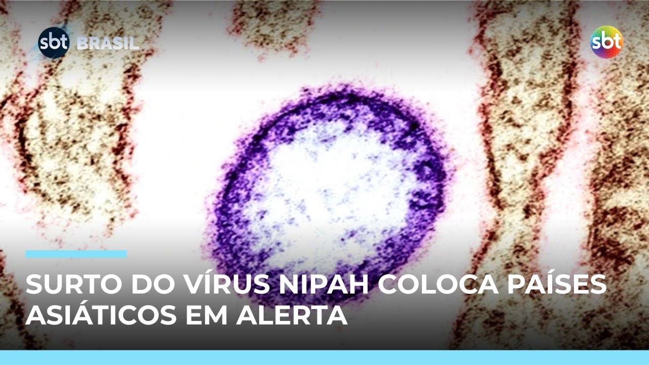Surto do vírus Nipah deixa quase 200 pessoas em quarentena na Ásia; entenda | 