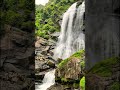 Chasing Waterfalls in the Heart of the Wild #WildSage #Waterfall #Serenity #ShortsFeed #TravelGram