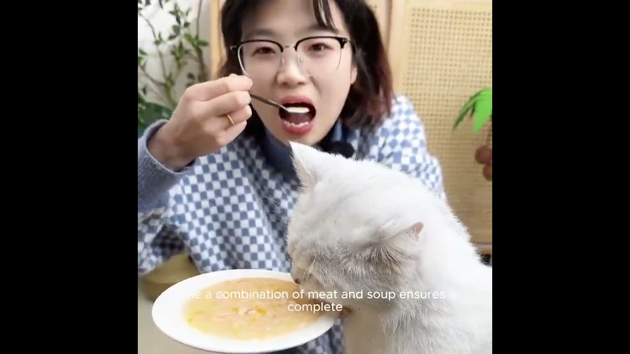 Cat Wet Food Soup Bags Rich in Fish Oil, Preventi