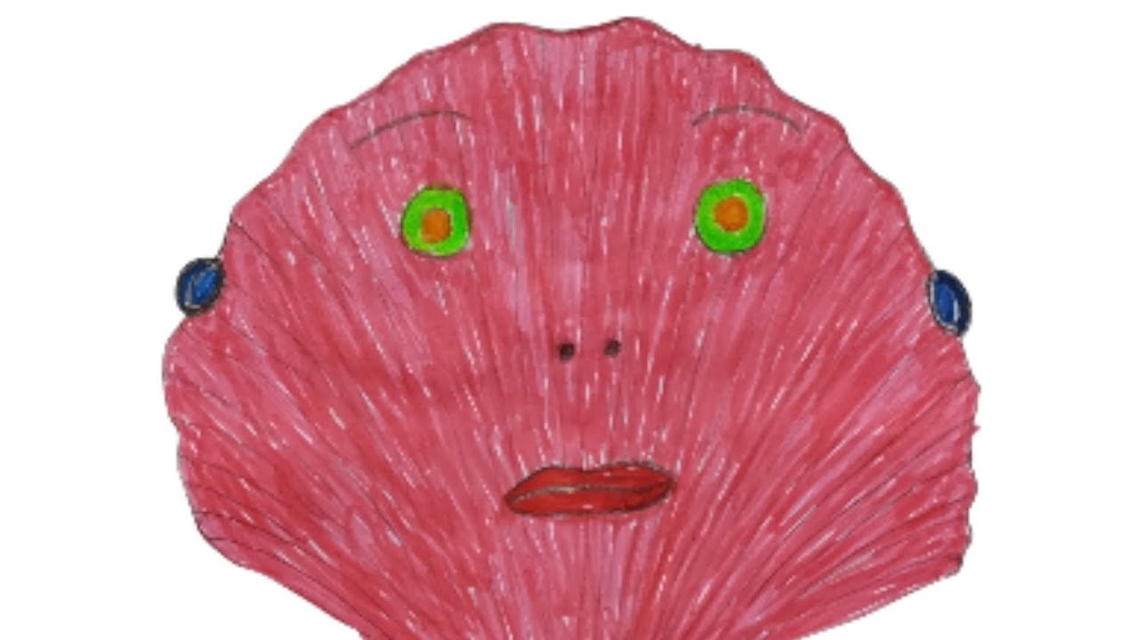 🐚✨ Magic Shell Fairy Tale Character Drawing 🌈🧚 | RainbowPictures 🎨💖