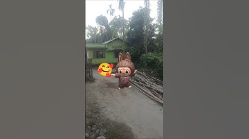 Labubu #funk #funkopop #remix #funko #music #funny #funkoanime #funkmusic #cute #musicgenre