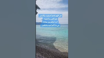اية من سورة الزمر