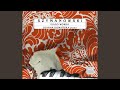 Miniature de la vidéo de la chanson 12 Studies , Op. 33: 9. Animato