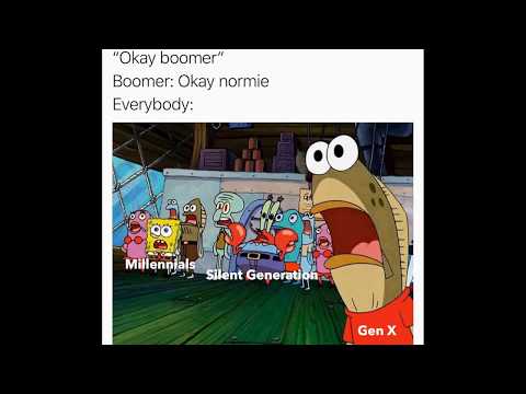 ok-boomer---meme-compilation