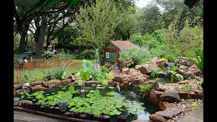 Serene Pond Gardens & Funky Outdoor Living |Jeannie & Steven Ferrier