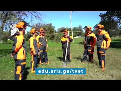 კოლეჯი „აისი“ -  edu.aris.ge