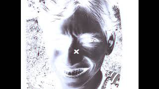 Afterimage Illusion Demonstration
