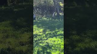 IMG 7170