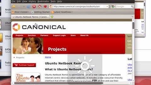 Ubuntu netbook remix 9.10 running on Vmware fusion 3