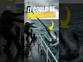 DROPPING AN ANCHOR CAN TURN DEADLY | YOUR FACTS BUNNY #shorts #ytshorts #anchor #ship #usa #viral