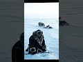 In the Frozen Arctic, Inuit Survival Is a Way of Life | Cinematic Short