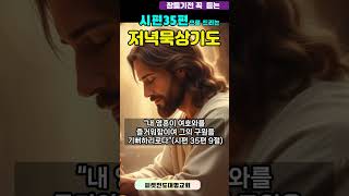 억울함 속에서도 하나님이 대신 싸워주시는 저녁묵상기도 🙏｜시편35편 기도