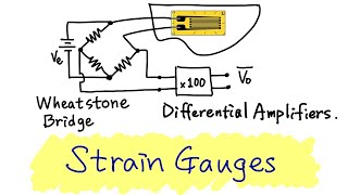 Strain Gauges with Quarter-Wheatstone Bridge and Amplifiers | Lab Experiment Tutorial
