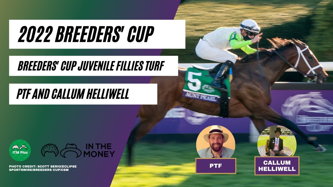 2022 breeders cup betting challenge how to place an across the board bets