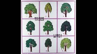 Watch Trees Polly On The Shore video