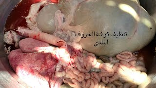 طريقة تنظيف كرشة الخروف من خروج بطن  الخروف حتى الطبخ🐏🐑#تنظيف_كرشه_ الجزء _الاول ٢٠٢١_مطبخ _ام_رببع