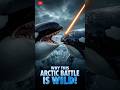 Tusk or Teeth | Brutal Arctic Battle! #OrcaVsNarwhal #ArcticBattle #WildlifeShorts #shorts