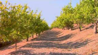 Citrus Ranch Park.wmv