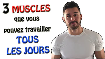 Quels muscles travailler le même jour