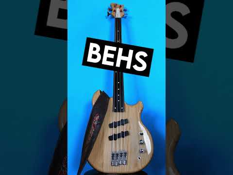 Bass Guitar Maintenance