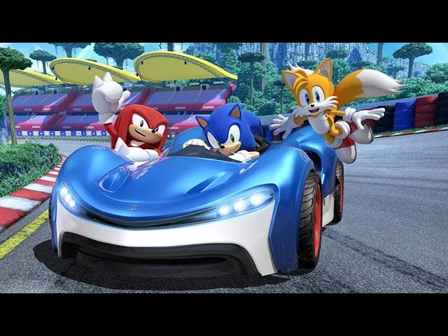 Test Team Sonic Racing : beau hérisson mou du genou