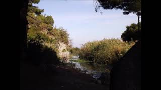 Canan Varol - Ahu Gözlüm (Cover)