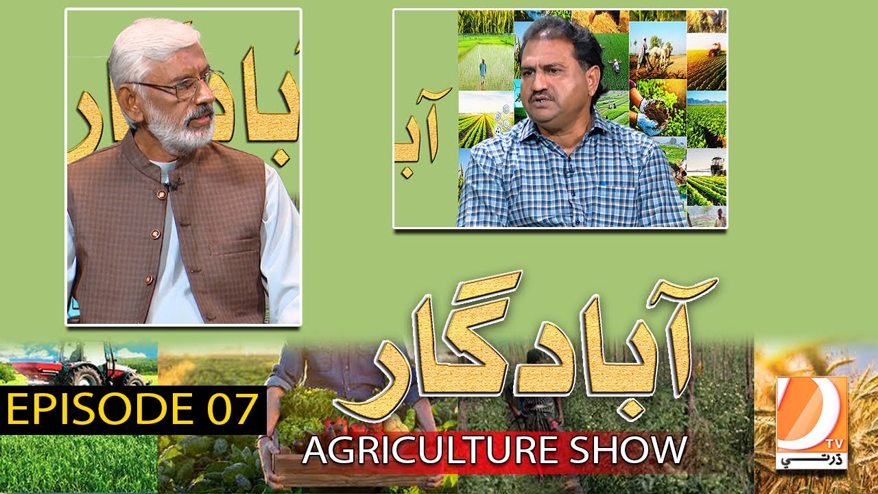 Abadgar (The Agriculture Show) Episode 07 | Host: Ayaz Gaad | Dharti Tv