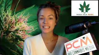 Weed Talk News