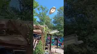 Allumé en plein jour au parc essai de l’EP #streetlights #streetart #viral