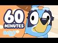 LIVE Bluey Is Making A Mess In The House Funny Clips For 60 MINUTES Bluey