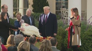 President Trump Pardons Turkey For Thanksgiving