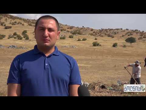 დასუფთავების საერთაშორისო კამპანიას ბოლნისის მუნიციპალიტეტიც შეუერთდა