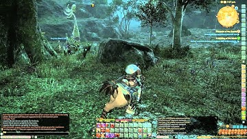FFXIV Hacker / Botter