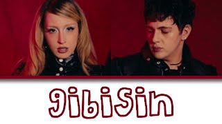 AYDEED, KAAN - gibisin (Renk Kodlu Şarkı Sözü)