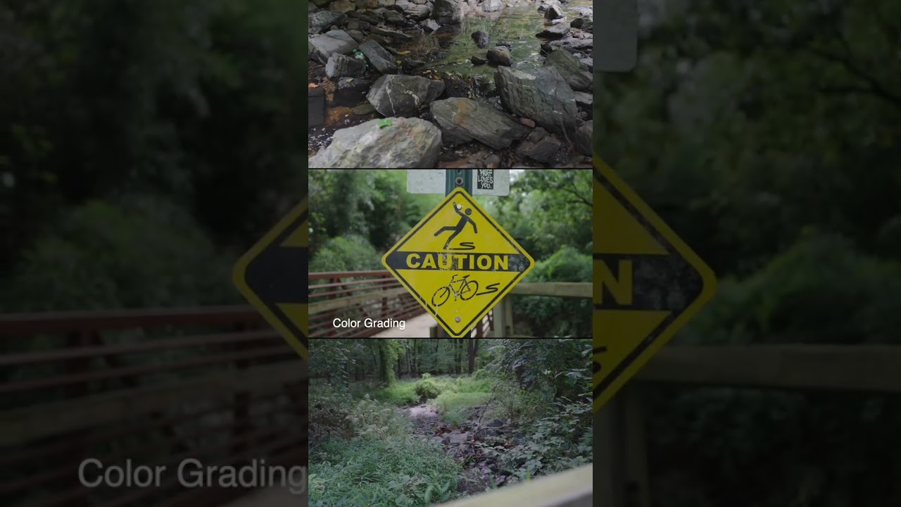 Slog 3 Color Grading Sony A7IV 