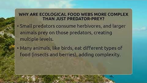 Why Are Ecological Food Webs More Complex Than Just Predator-prey? - Ecosystem Essentials