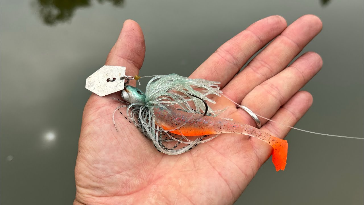 バス釣り】チャターの神セッティングが見つかったので、公開します