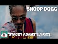 Snoop Dogg Stacey Adams Lyrics We Stay On Point Like Stacey Adams mp3