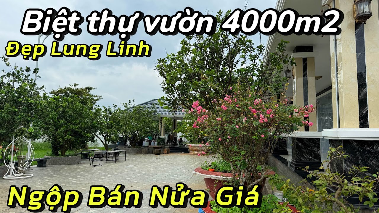 NGỘP- CĂN NHÀ VƯỜN MỚI TOANH BÁN TIẾC LẮM |HÙNG TRẦN BRVT