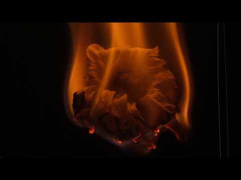 Ref:ceeDyEN_SyA Beth Crowley- delusional (based on ACOTAR by Sarah J Maas) (Official Visualizer Video)