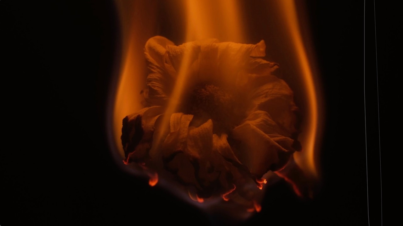 Beth Crowley- delusional (based on ACOTAR by Sarah J Maas) (Official Visualizer Video) - YouTube Music