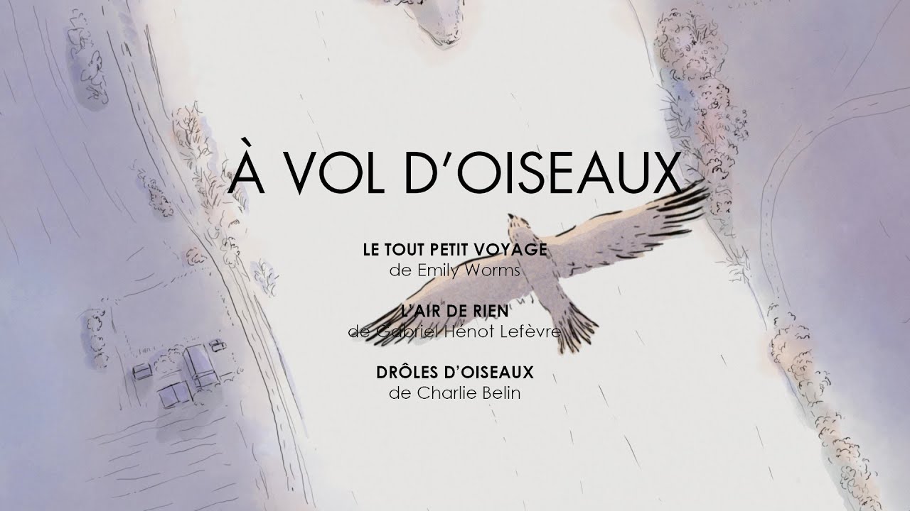 À vol d'oiseaux (2023) - Bande annonce HD - YouTube