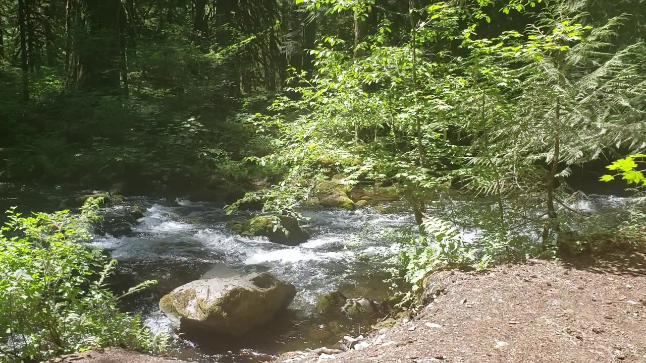 Exploring Mount Hood national forest Part 1