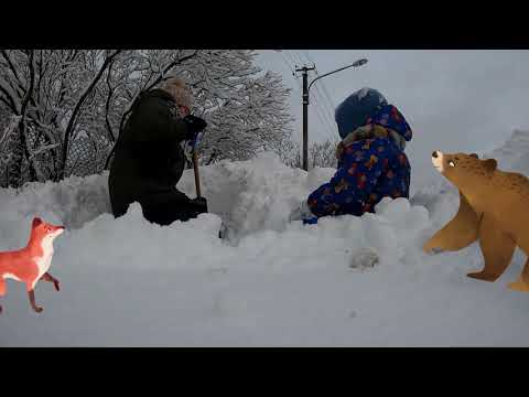 Video: Dabas Pazīmes, Kas Darbojas