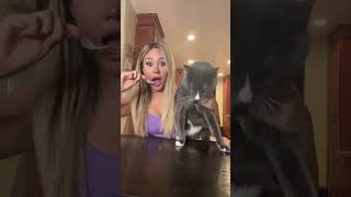 When Ur Half Asian And No One Can Tell