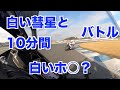 年末スペシャル、白い彗星と10分間バトル！元国際A級マックス先生　YZF-R1 モトブログ