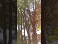 esto lo tienes que escuchar #menteinconsciente #estres #pazinterior #respiración #paz