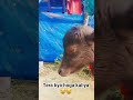 #comedy #cute #funny #viralreel