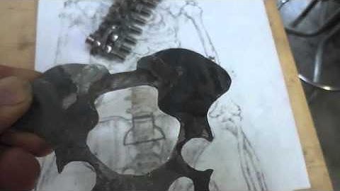 Russell Smith "Gorilla, process video 1"  2013